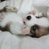 宇宙最最最搞笑