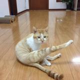 小全瞎剪