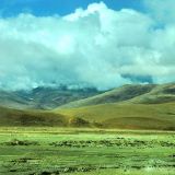 贫瘠的土地藏着金