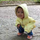 水清清大话篮球圈