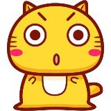 胖子喵的日常生活