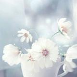 健康美丽于一体