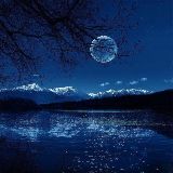 兵哥聊史论古今