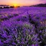 七彩的生活方式