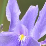 赵智勇享受生活