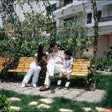 不到南墙心不死