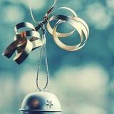 不见春天渐暖心