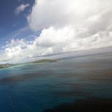 育儿梦想趁年轻