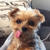 跟我一起八卦吧