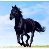 窗外有没有风景