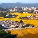 农村大建国
