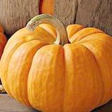 一天一道家常菜