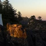 奇葩的故事杂谈