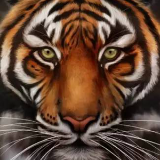 吴先森的房产沙龙