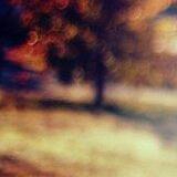 生活娱乐的那点点滴滴