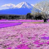 生活格外的魅力