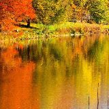 小白吃瓜看娱乐