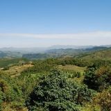 品味昨天的故事