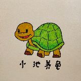 小池养龟