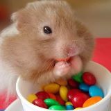 每天都要笑一笑