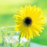 奎哥论吃喝玩乐耍