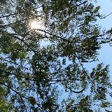 数码原创客肖恩