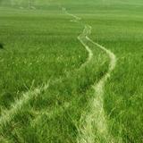 农村的美好生活