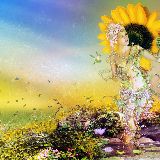 我只想和你起床