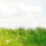 郑建中娱乐大咖