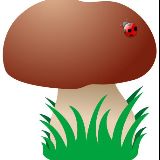 圆圆的大蘑菇