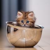 张小萌麻麻的育儿经