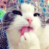 梁熙寿玩在厨房