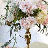 超出常规和规律