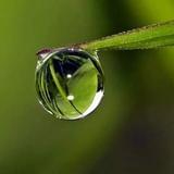 猫哥的美好生活