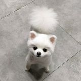 最好笑的动漫推荐