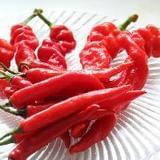 半壶老酒话历史