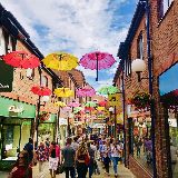 轧马路的大脚板