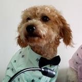 爱生活的创先生