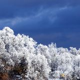 黎明情感小分队