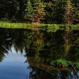 彦彦娱乐小分队