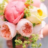 七彩灯照耀我的心