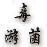 毒游菌