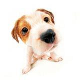 软件开发江先生