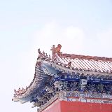 此生惟愿疏与朗