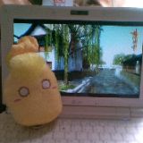 永恒君的百宝箱