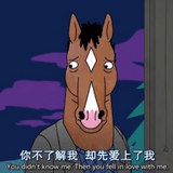 胡闹的马男波杰克