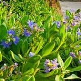 盖世英雄的超能力