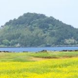 陶经武娱乐大咖