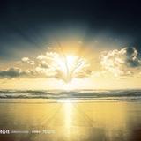 幸运的小小葱头