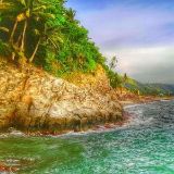 悬崖边的椰子树